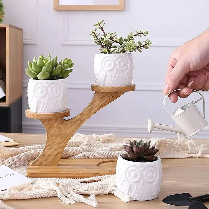 Succulents Ceramic Potted Desktop Can Rotate Ferris Wheel Flower Pot Creative Decoration Office Flower Container lettre en bois