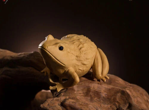 TL032 - 6.2*5.0*4 CM Carved Boxwood Carving Figurine Home Decor: Frog