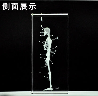 TOP best GIFT - medicine Medical Science Internal medicine Doctor skeleton Bone Figurine 3D Crystal statue -FREE SHIPPING cost