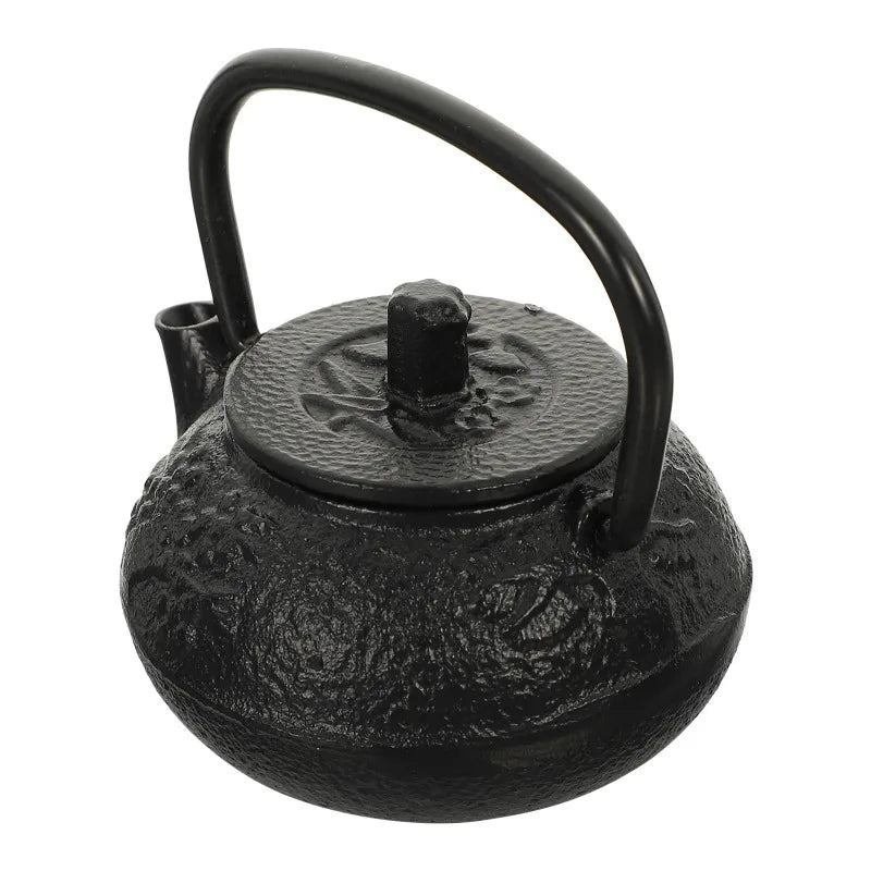Teapot Tea Kettle Japanese Iron Set Cast Chinese Pot  Mini Coffee Stove Water Loose Stovetop Vintage Maker Boiling Fu