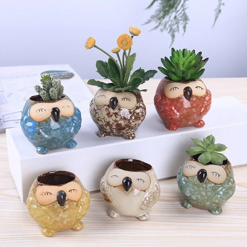 Wholesale Flowerpot Home Garden Mini Bonsai Cactus owl Planter Pots Succulent Plant Flower Pot Wedding Birthday Gift
