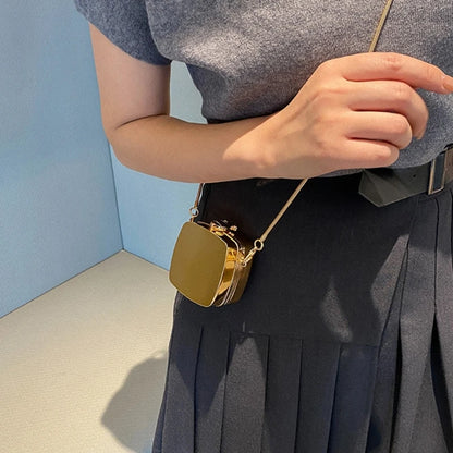 Women Evening Bag Purse Detachable Chain Elegant Shoulder Bags Handbag Tote Acrylic Crossbody Clutch Party Purse