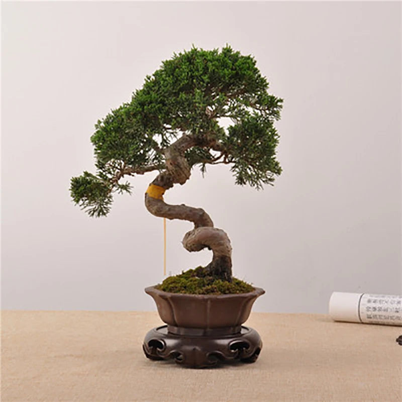Wooden Pedestal Display Stand Ebony Wood Carving Handicraft Decorative Base for Craft Tea Set Teapot Plants Ornaments Display