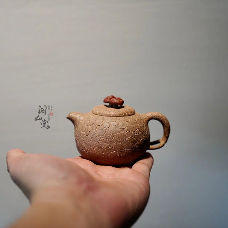 Yueshan Hall | Mini for Spring Purple Clay Pot Raw ore beige clay Sketch Flower Ware Shi Yiting Handmade