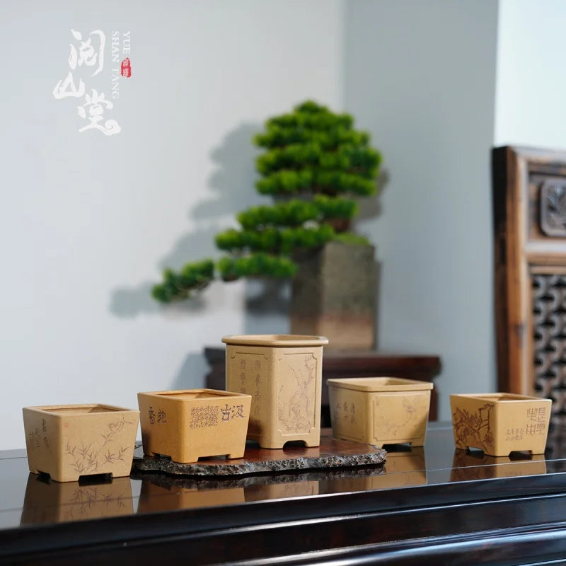Yueshan Hall | Purple Sand Literati Basin Handmade Desk Basin Raw Ore Gold Segment Mud Breathable Poetic and Pleasant
