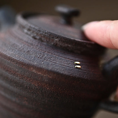 ceramic POTS manually coarse pottery curium nailed hand knead the side the teapot orphan works one thing a beat