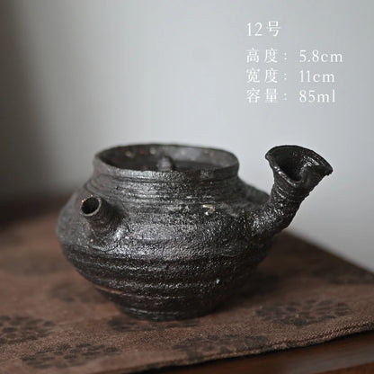 ceramic POTS manually coarse pottery curium nailed hand knead the side the teapot orphan works one thing a beat