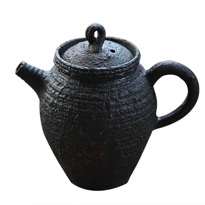 ceramic POTS manually coarse pottery curium nailed hand knead the side the teapot orphan works one thing a beat