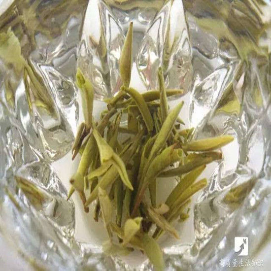 Silver Needle Tea Loose Leaf Tea 100g Premium White Tea Anti-old Healthy Drink