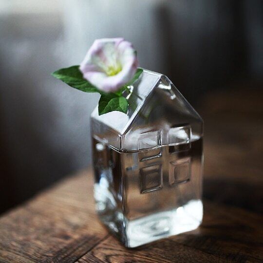 Glass Small House Shaped Vase Mini Hydropnic Terrarium Tabletop Flower Bottle