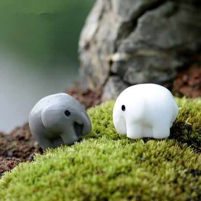 Mini 5pcs Elephant Fleshy Decoration Supplies Moss Micro Landscape Deco Creative