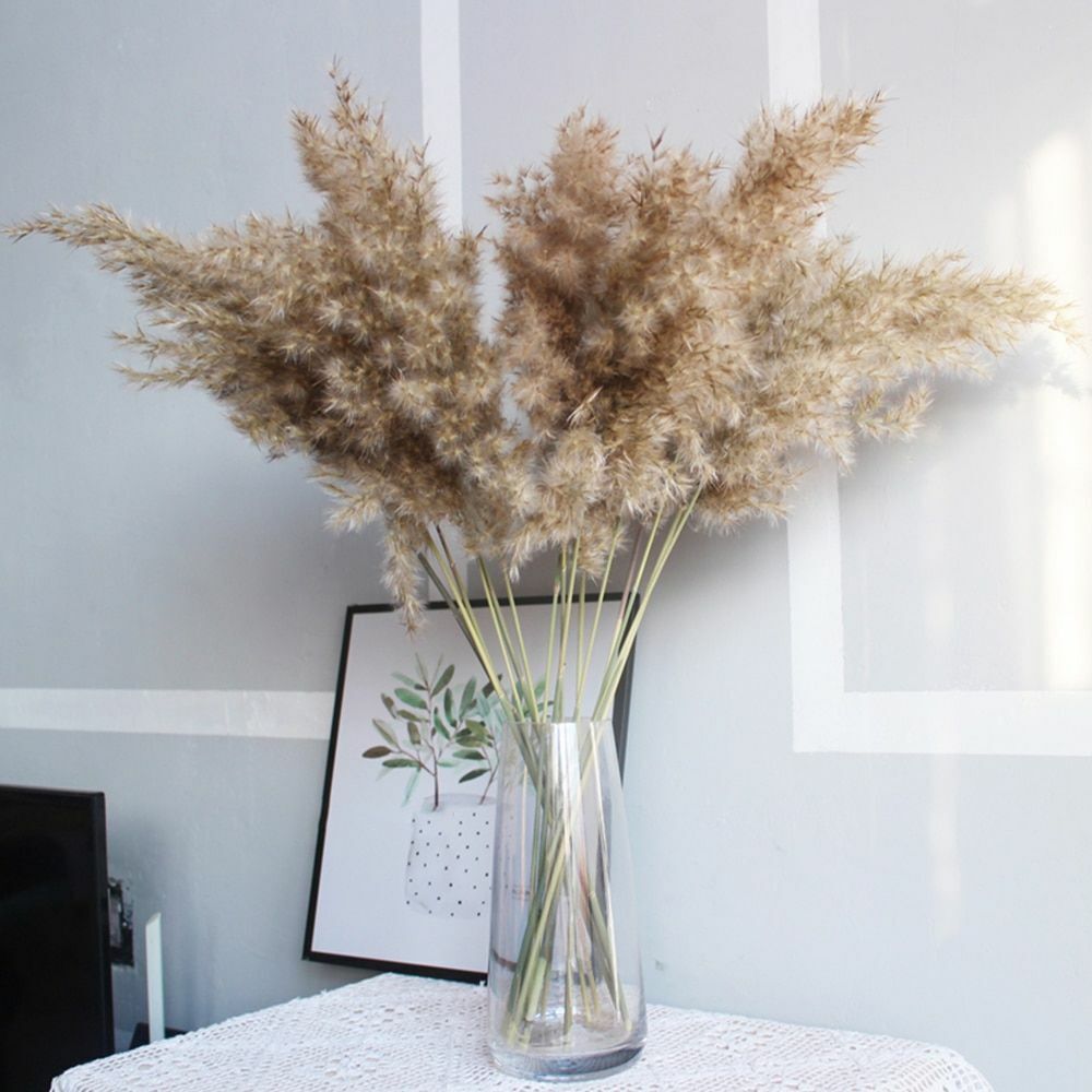 Real Pampas Grass Decor 8/10/20/50 Pcs/Lot Natural Dried Flowers Plants Bouquet