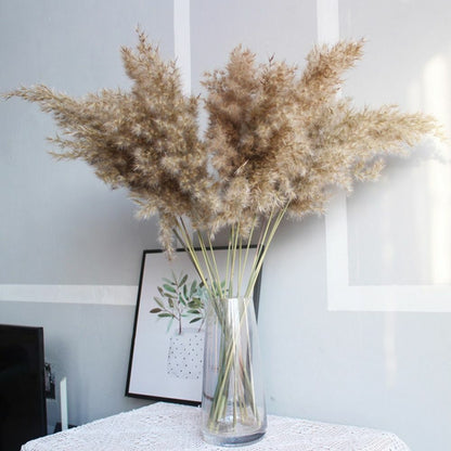 Real Pampas Grass Decor 8/10/20/50 Pcs/Lot Natural Dried Flowers Plants Bouquet