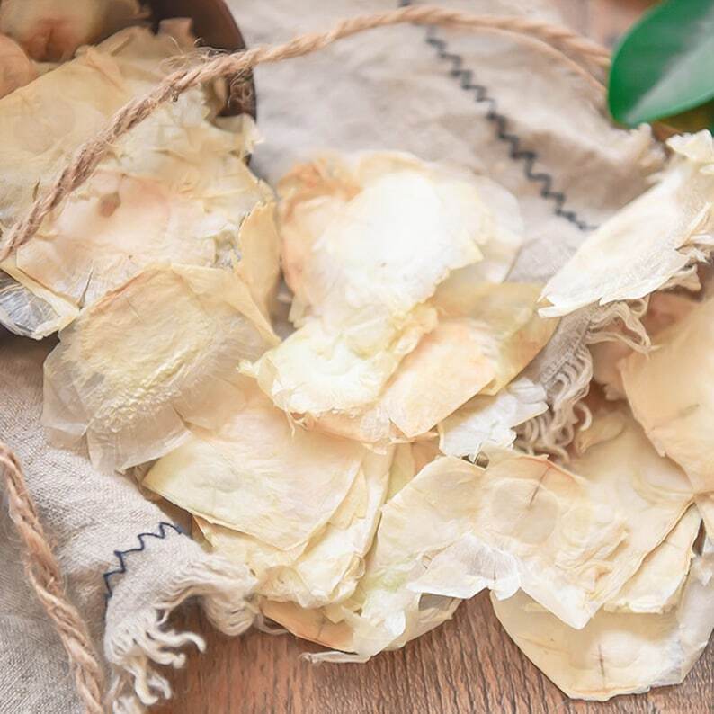 Dried Semen Oroxyli Indian Trum Etflower Seed Pure Natural Makes A Healthy Tea