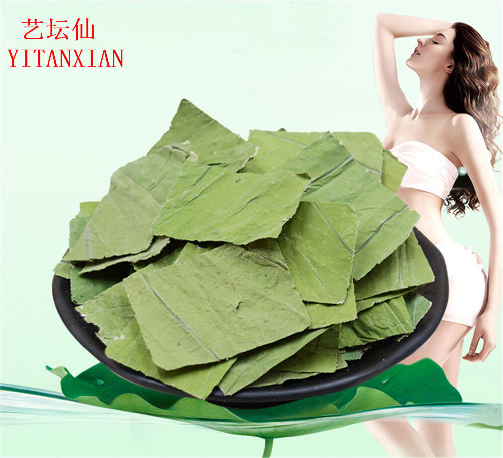 100% Nature 500g Organic Dried Lotus Leaf slimming tea Lotus Leaf tea