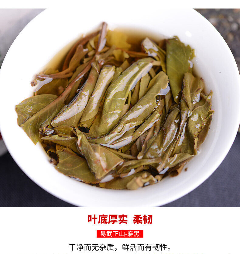 Haiwan Yi Wu Zheng Shan Shen Puer Tea Ma Hei Famous Old Tree Pu'er 500g