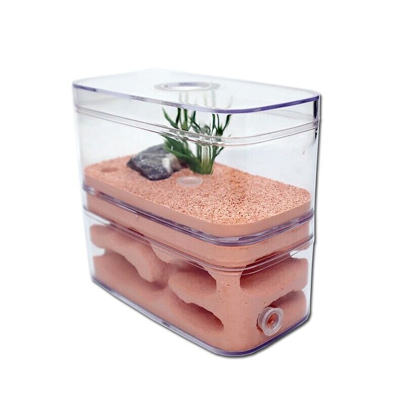 Ant Farm PC Shell+Gypsu Nesting Plaster Insects Box Pet Anthill Castle 12x6x10cm