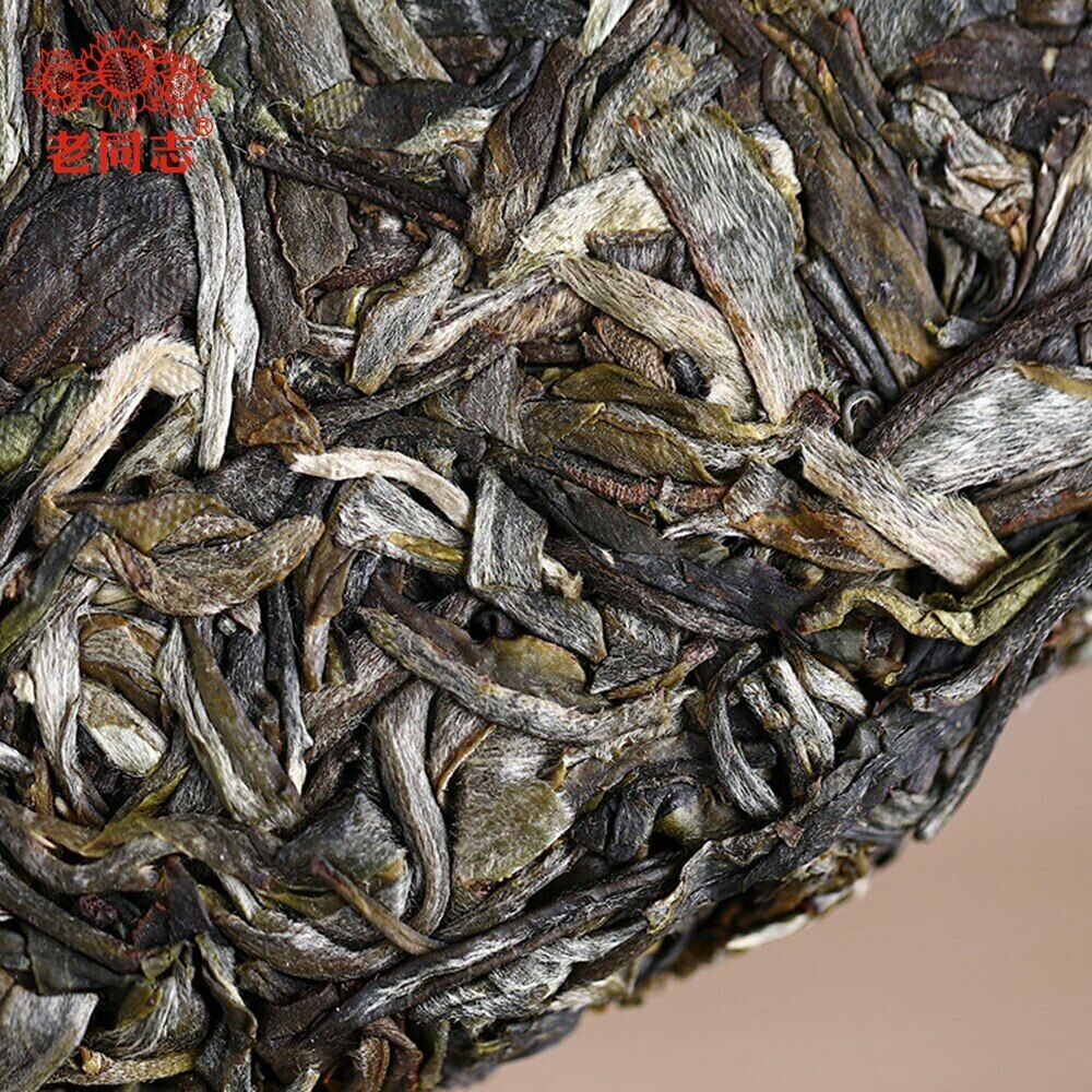 2020 Haiwan 7548 Sheng Puerh Batch 201 Raw Puer Tea Cake 357g