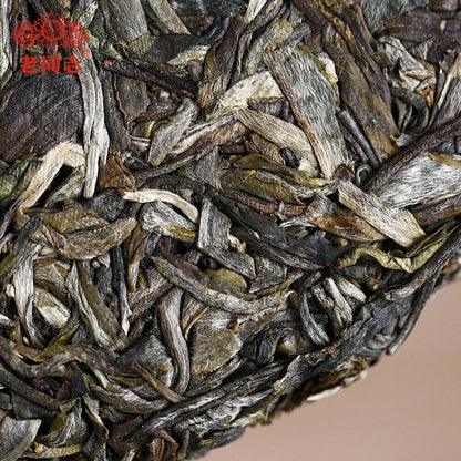 2020 Haiwan 7548 Sheng Puerh Batch 201 Raw Puer Tea Cake 357g