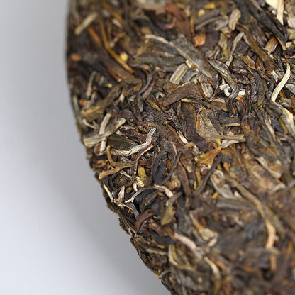 Pu-Erh, Old Comrade, Deep Mountain Old Tree Cake Tea, 2021y, 500g, Raw