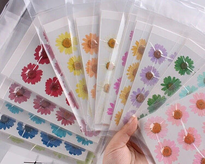 Dried Flowers Pressed Dry Daisy Epoxy Resin Jewelry Making Materials 120Pcs/Lot
