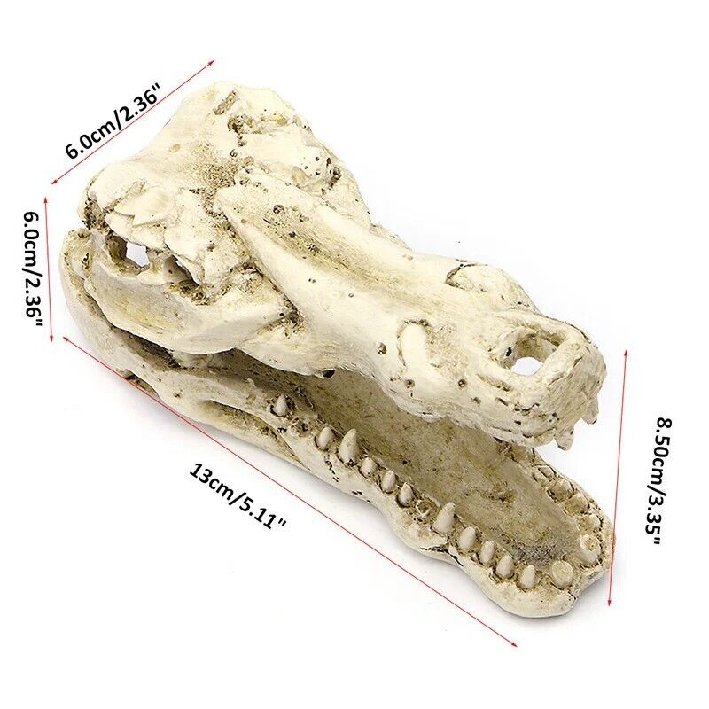 Aquarium Decoration 5" Resin Crocodile Skull Artificial Decor Fish Tank Ornament