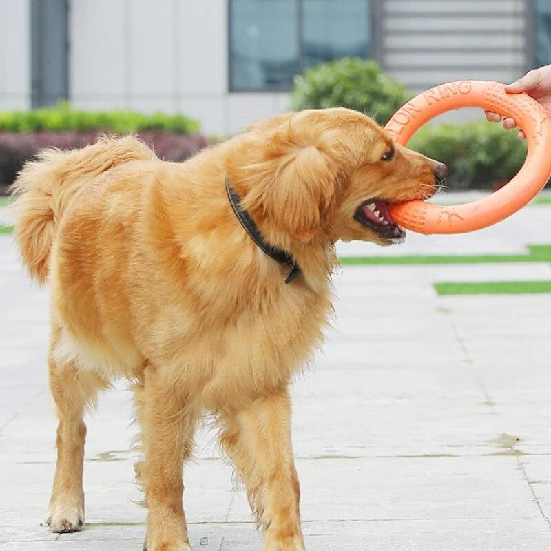 Dog Flying Disc Frisbee Discs Ring Bite Resistant Interactive Pet Training Toy