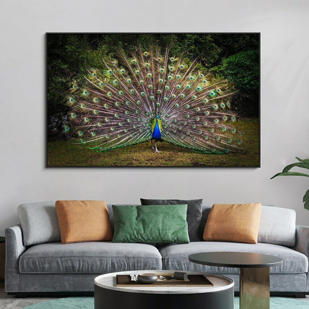 Peacock Print Art Wall Art Picture Posters Animal Canvas Painting Home Decor Art