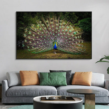 Peacock Print Art Wall Art Picture Posters Animal Canvas Painting Home Decor Art