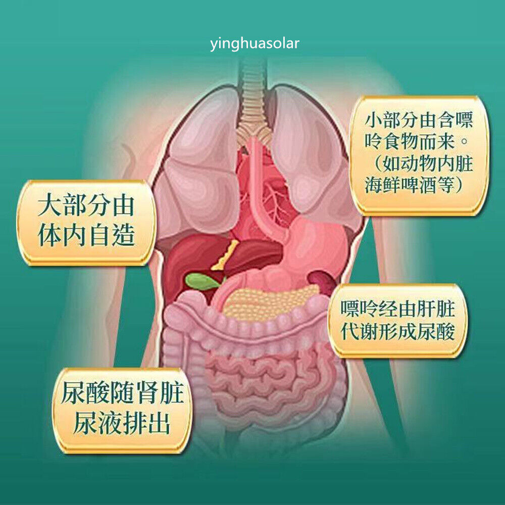 北京同仁堂茯苓栀子菊苣尿酸高养生茶缓解关节不适针对痛风 Herb Function Tea High Uric Acid Gout Uarthritis