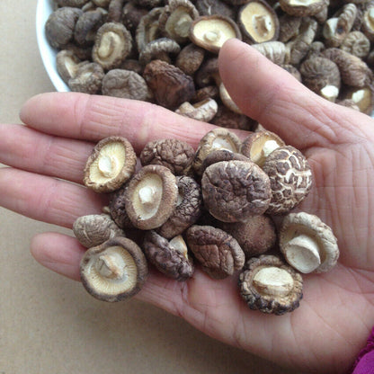 Dried Shiitake Mushrooms Wooden Organic Kitchen Food Natural Fungus 50-500g