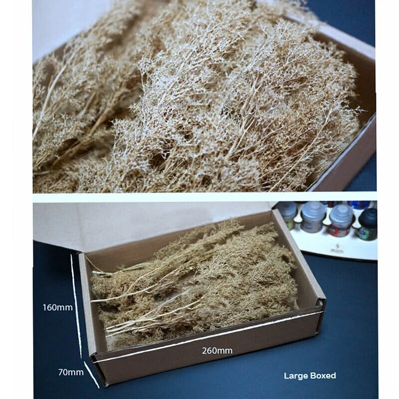 Miniature Quinoa Plant Dry Tree Model DIY Railway Building Sand Table Layout Kit