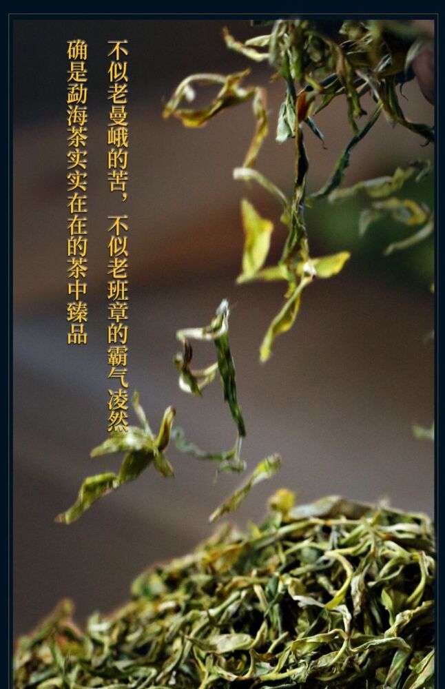 Pu-Erh, Sheng Jiayuan, He Kai, 2020y,357g