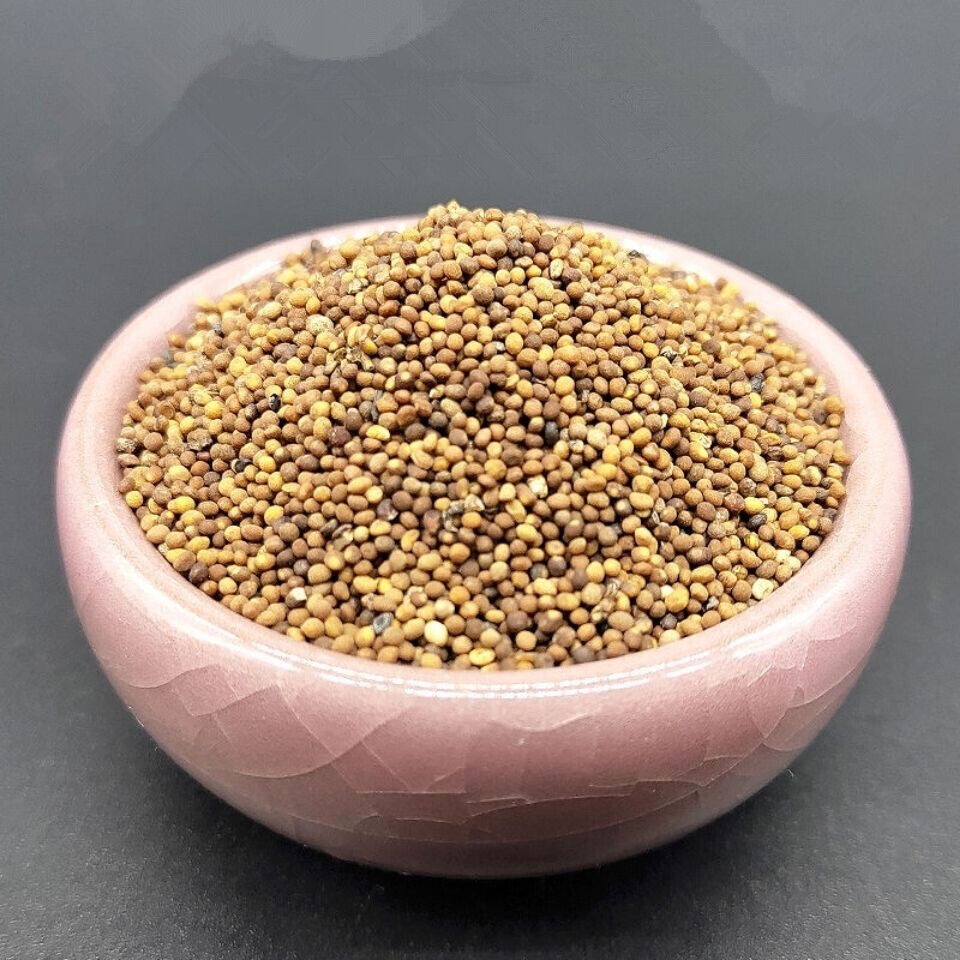 Dodder 菟丝子泡水菟丝子 补益肝肾 腰膝酸软 头晕耳鸣 须发早白 100g~500g Chinese Herbs