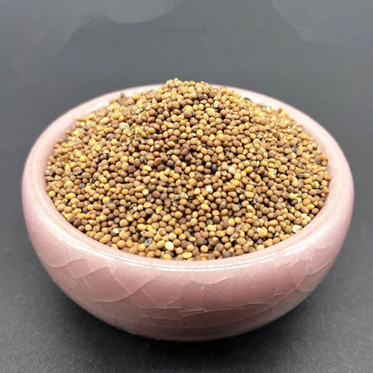 Dodder 菟丝子泡水菟丝子 补益肝肾 腰膝酸软 头晕耳鸣 须发早白 100g~500g Chinese Herbs