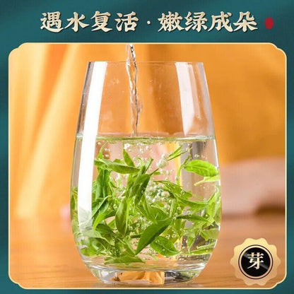 Bitterling Fire Removal Tea 白云山 天然正品小叶嫩芽苦丁去火茶 60g