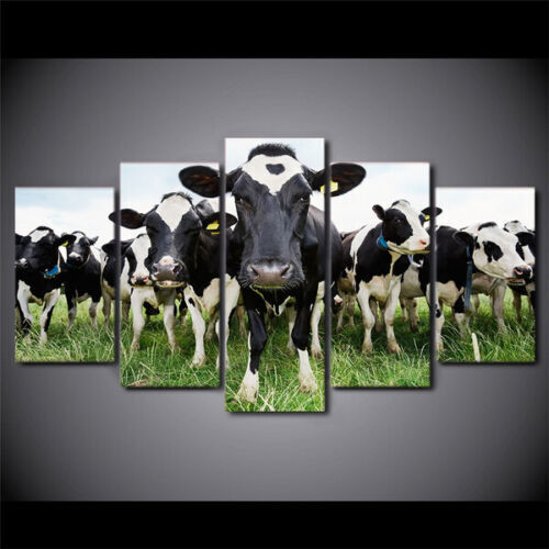 Black and White Milk Cow 5 Piece Canvas Print Wall Art Home Decor Cuadros