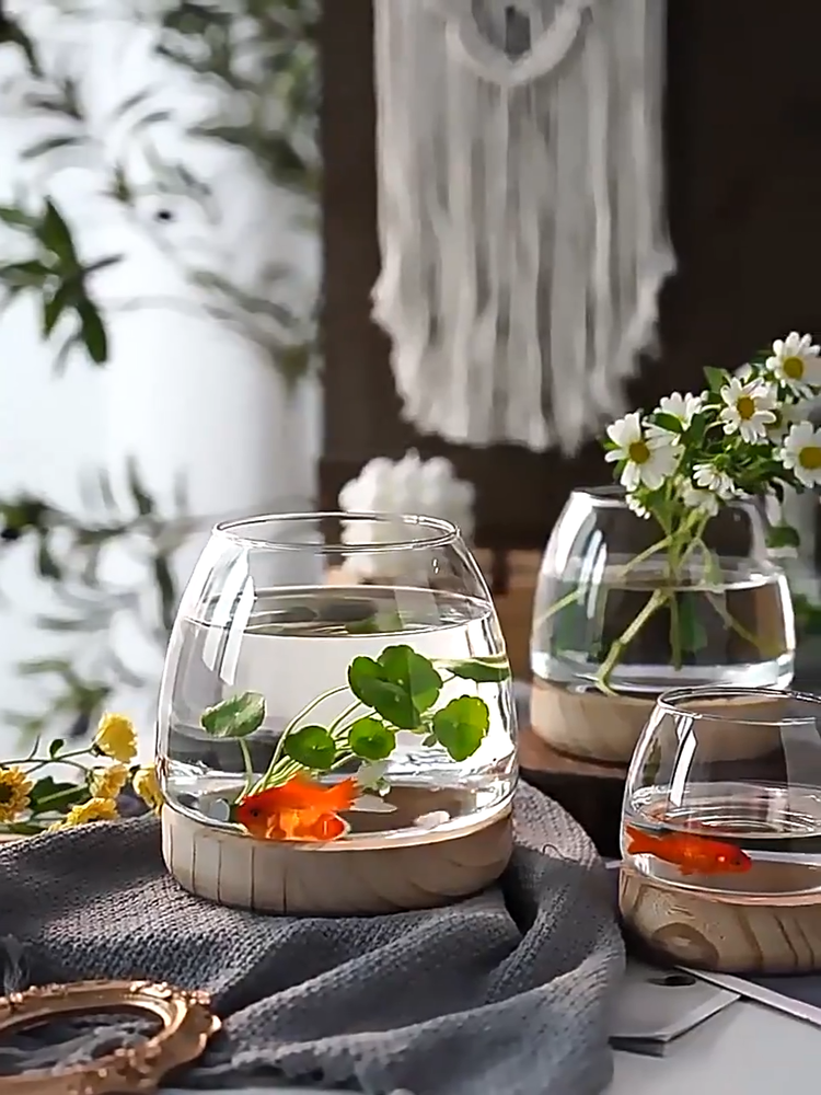 Fish Tanks Transparent Glass Wooden Tray Circular Office Small Goldfish Aquarium