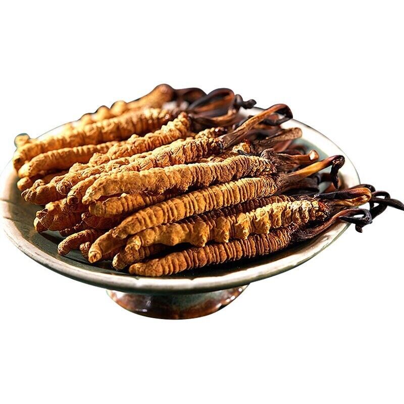 Wild Tibetan Aweto Chinese Caterpillar Fungus Cordyceps Sinensis 10 pieces 5g