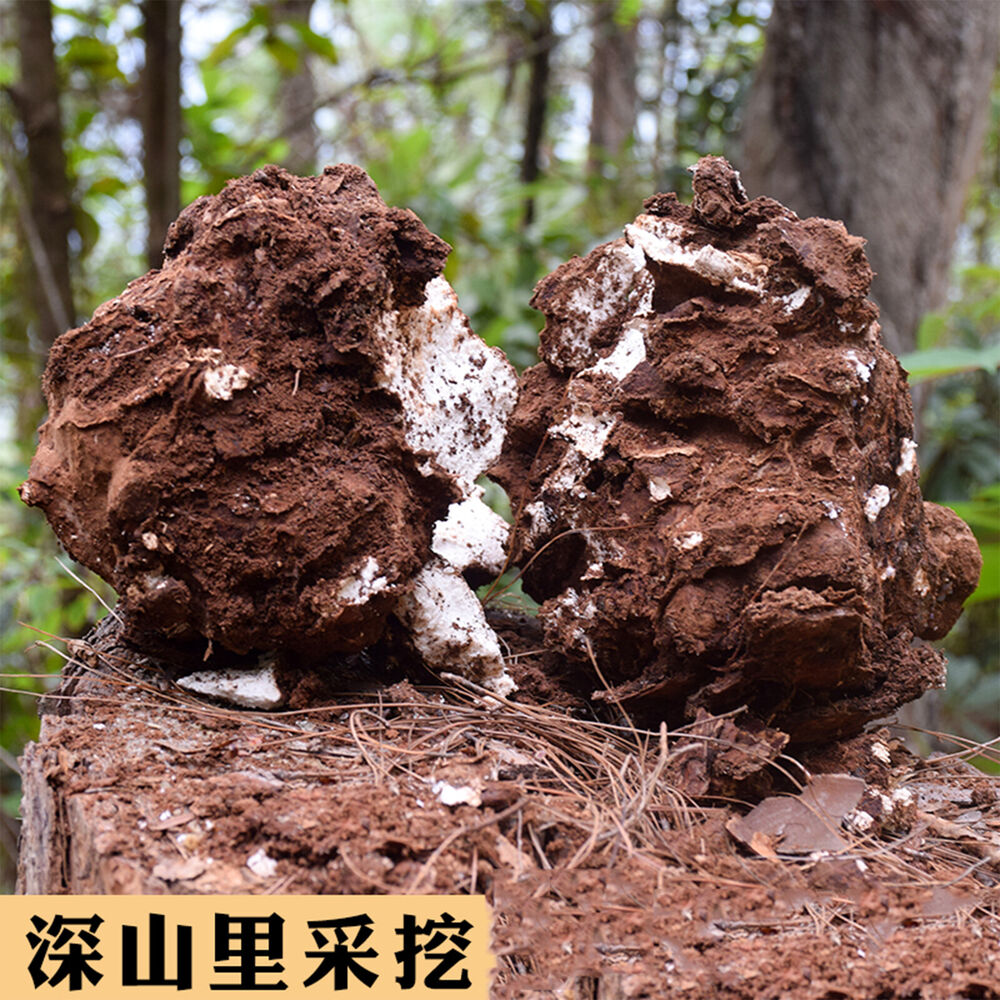 500g Natural Organic Herbbal Tea Poria CocosUsed for Soup Porridge Health Care