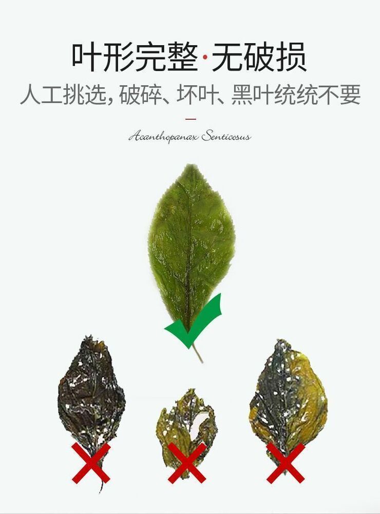 长白山野生 刺五加茶 安神睡眠 Changbaishan Wild Acanthopanax Tea /siberian Ginseng Tea