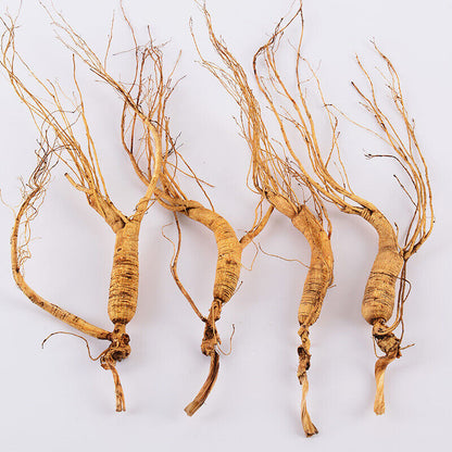 The relative integrity of natural dry transplanted wild ginseng roots at the age of 10-15 is brand-new-