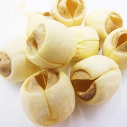 Premium quality Dried Bailian white lotus seeds soup desserts tea 通心白蓮
