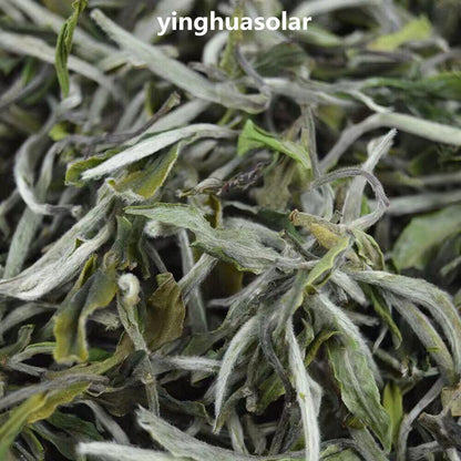 Premium Silver Needle White Tea Bai hao Yin zhen Chinese Tips Loose Tea