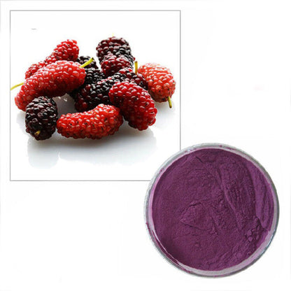 100g~500g Organic Mulberry Fruit Juice Extract Powder 10:1 Chinese Herbs Extract