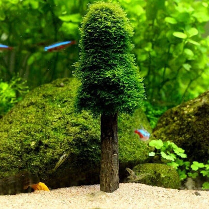 Aquarium Moss Plants Holder DIY Growing Live Mini Trees Shrimp Tanks Accessories