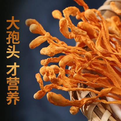 250g Chinese Tradition Organic Cordyceps Sinensis Dried Mushroom