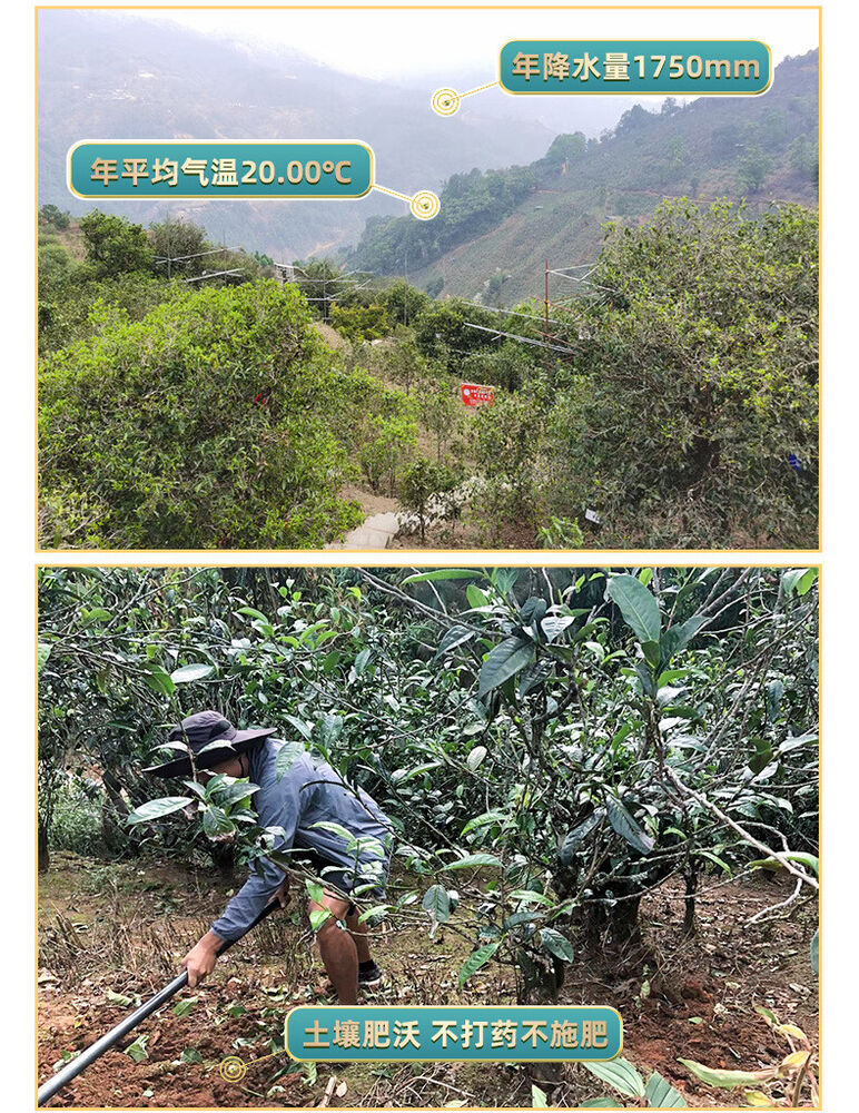 Top-Grade 357g Yunan Pu-erh Raw Tea Cake Pu'er Tea
