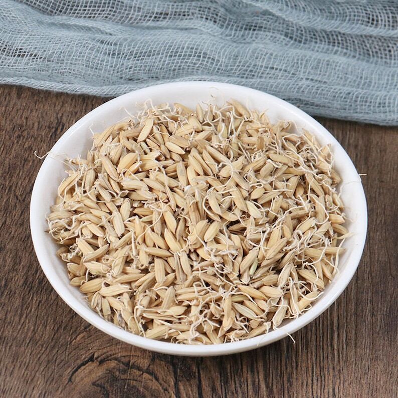 Organic Herbal Rice-grain Sprout Fructus Oryzae Germinatus Great Quality