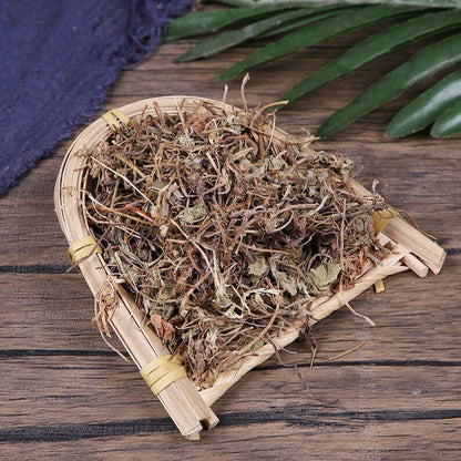 Organic Herbal Centellae Pennywort Herb Centella Asiatica Jixuecao Great Quality